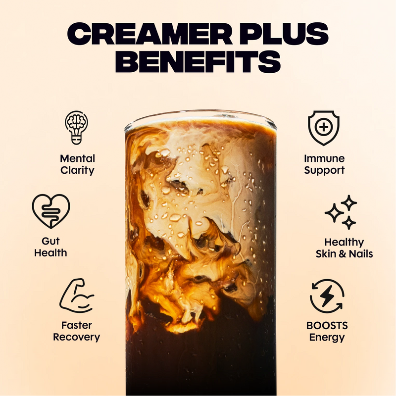 Vanilla Creamer+ (10 Servings) - Smooth Comfort Hydration