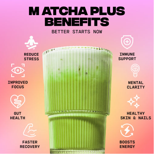 Matcha+ Starter Kit (30 Servings) - Modern Style